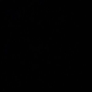 Meet your Posher, Alexander